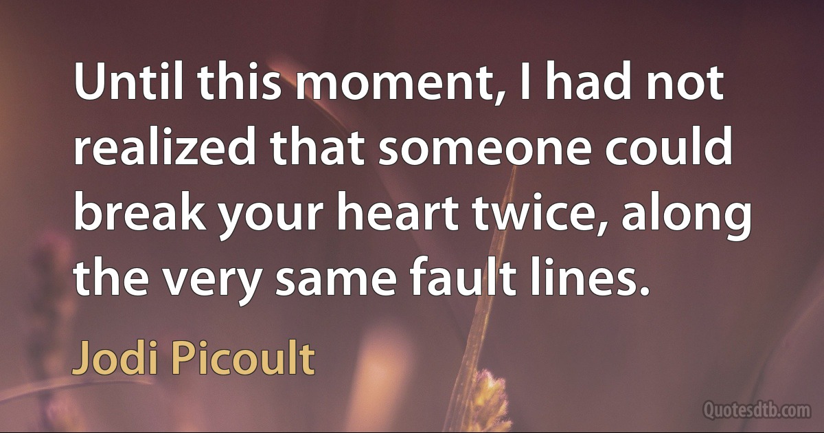 Until this moment, I had not realized that someone could break your heart twice, along the very same fault lines. (Jodi Picoult)