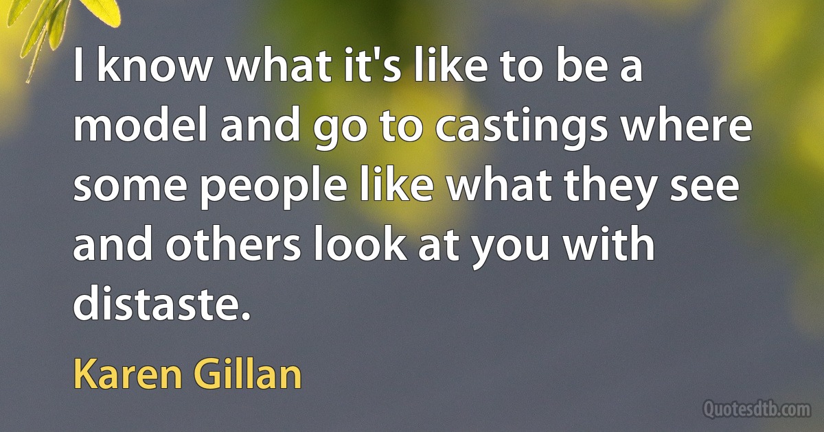 I know what it's like to be a model and go to castings where some people like what they see and others look at you with distaste. (Karen Gillan)