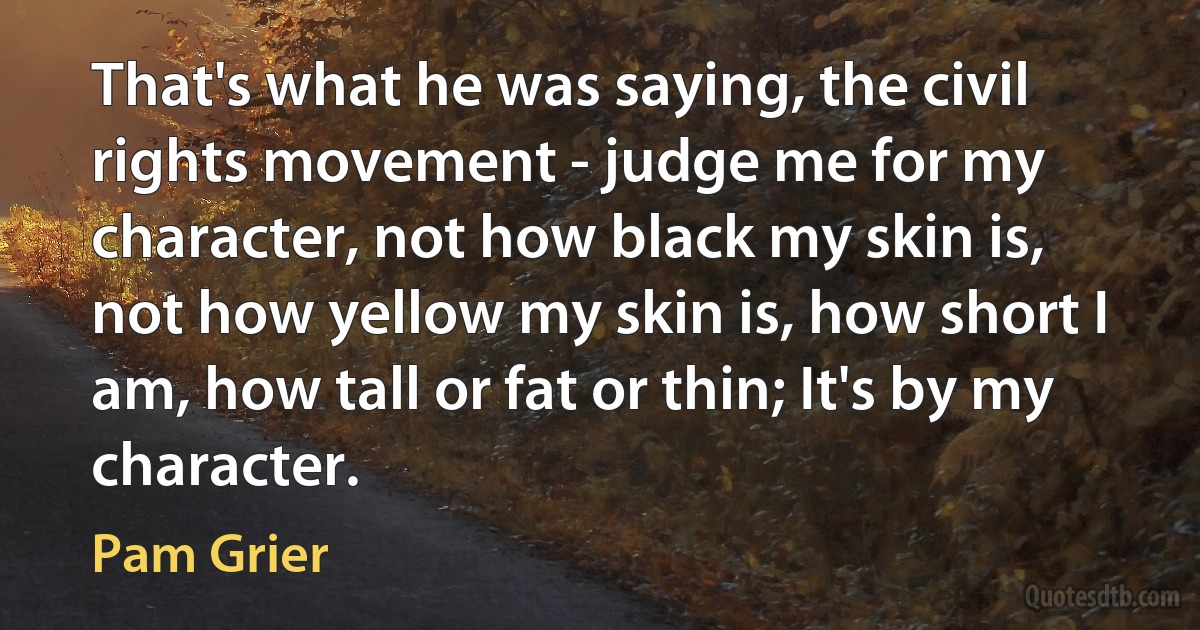 That's what he was saying, the civil rights movement - judge me for my character, not how black my skin is, not how yellow my skin is, how short I am, how tall or fat or thin; It's by my character. (Pam Grier)