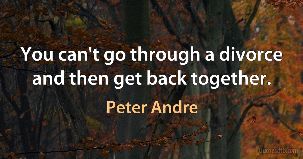 You can't go through a divorce and then get back together. (Peter Andre)