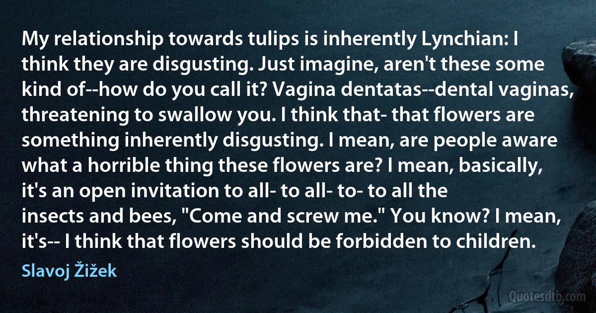 My relationship towards tulips is inherently Lynchian: I think they are disgusting. Just imagine, aren't these some kind of--how do you call it? Vagina dentatas--dental vaginas, threatening to swallow you. I think that- that flowers are something inherently disgusting. I mean, are people aware what a horrible thing these flowers are? I mean, basically, it's an open invitation to all- to all- to- to all the insects and bees, "Come and screw me." You know? I mean, it's-- I think that flowers should be forbidden to children. (Slavoj Žižek)