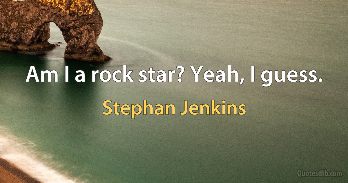 Am I a rock star? Yeah, I guess. (Stephan Jenkins)