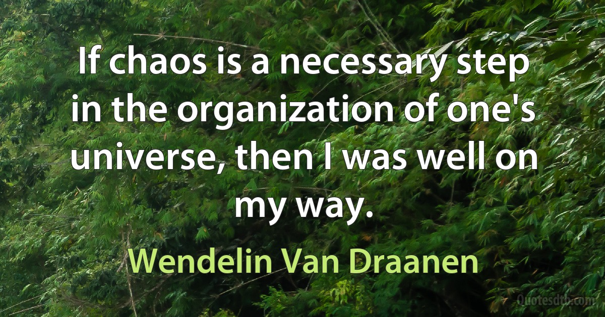 If chaos is a necessary step in the organization of one's universe, then I was well on my way. (Wendelin Van Draanen)