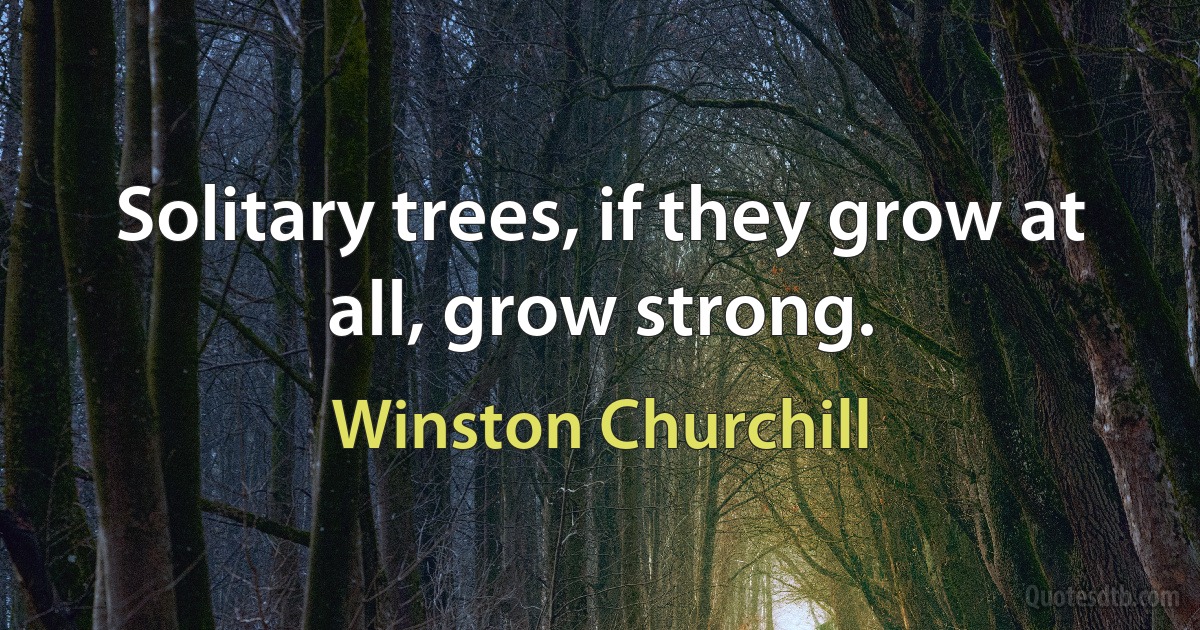 Solitary trees, if they grow at all, grow strong. (Winston Churchill)