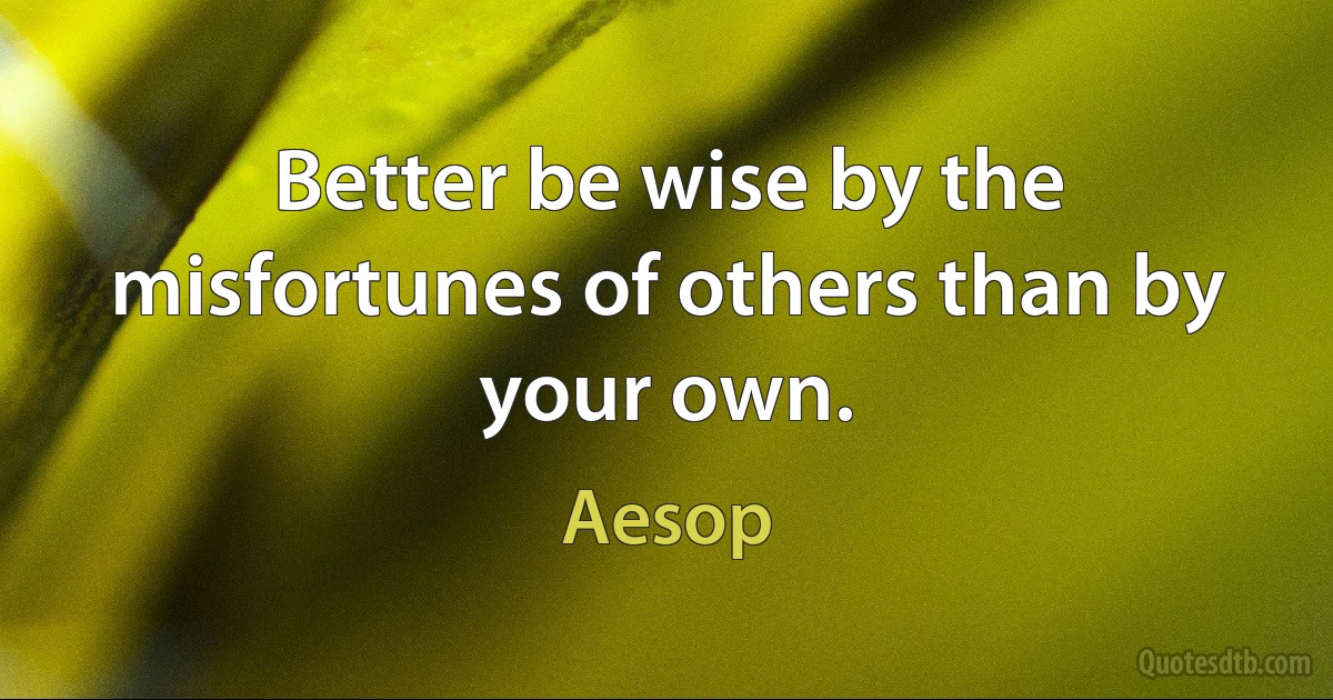 Better be wise by the misfortunes of others than by your own. (Aesop)