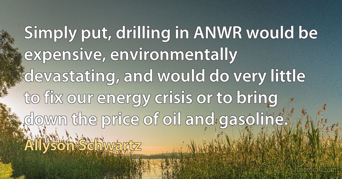 Simply put, drilling in ANWR would be expensive, environmentally devastating, and would do very little to fix our energy crisis or to bring down the price of oil and gasoline. (Allyson Schwartz)