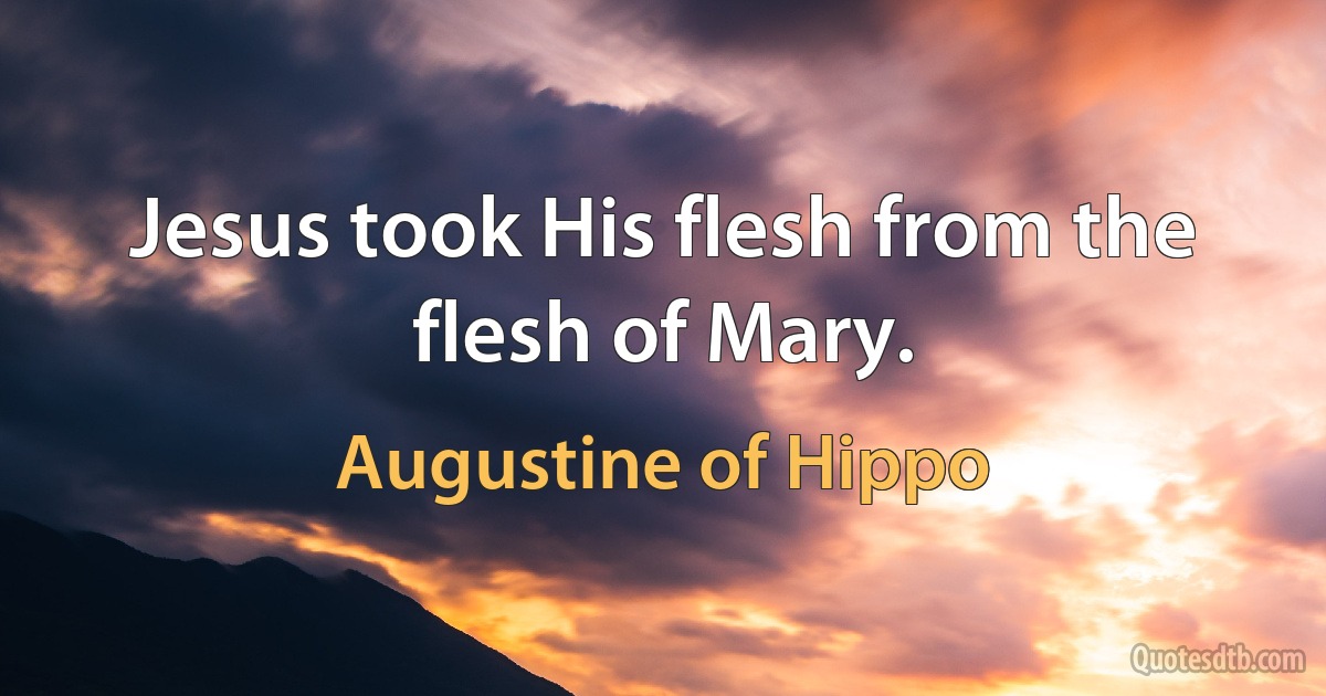 Jesus took His flesh from the flesh of Mary. (Augustine of Hippo)