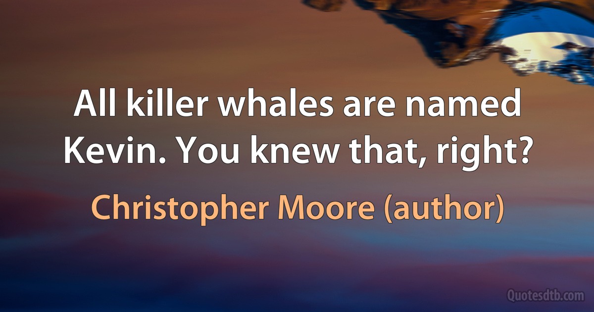 All killer whales are named Kevin. You knew that, right? (Christopher Moore (author))