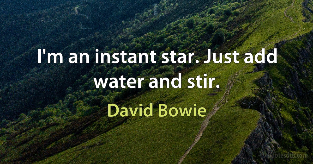 I'm an instant star. Just add water and stir. (David Bowie)