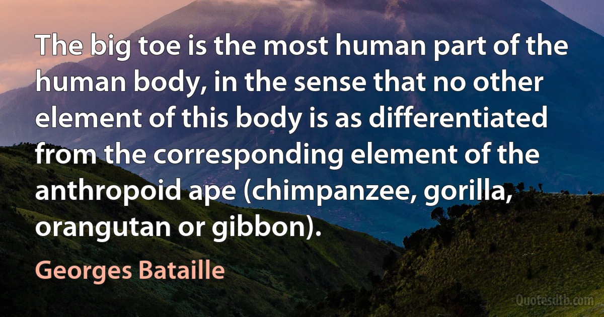 The big toe is the most human part of the human body, in the sense that no other element of this body is as differentiated from the corresponding element of the anthropoid ape (chimpanzee, gorilla, orangutan or gibbon). (Georges Bataille)