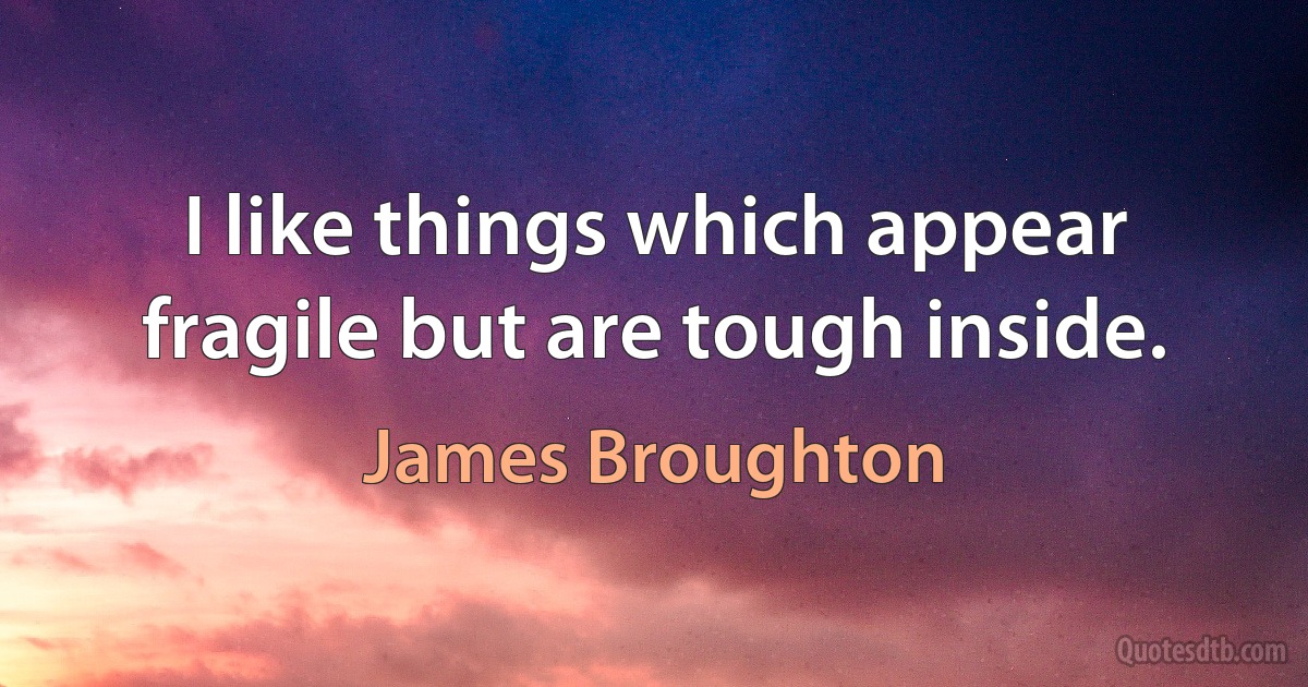 I like things which appear fragile but are tough inside. (James Broughton)