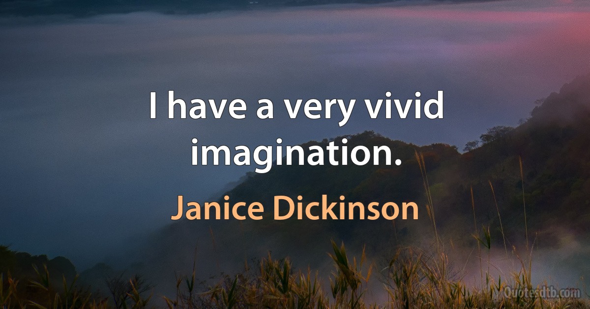 I have a very vivid imagination. (Janice Dickinson)