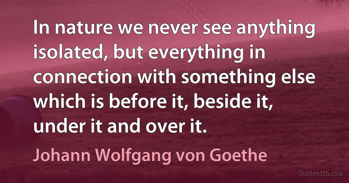 In nature we never see anything isolated, but everything in connection with something else which is before it, beside it, under it and over it. (Johann Wolfgang von Goethe)