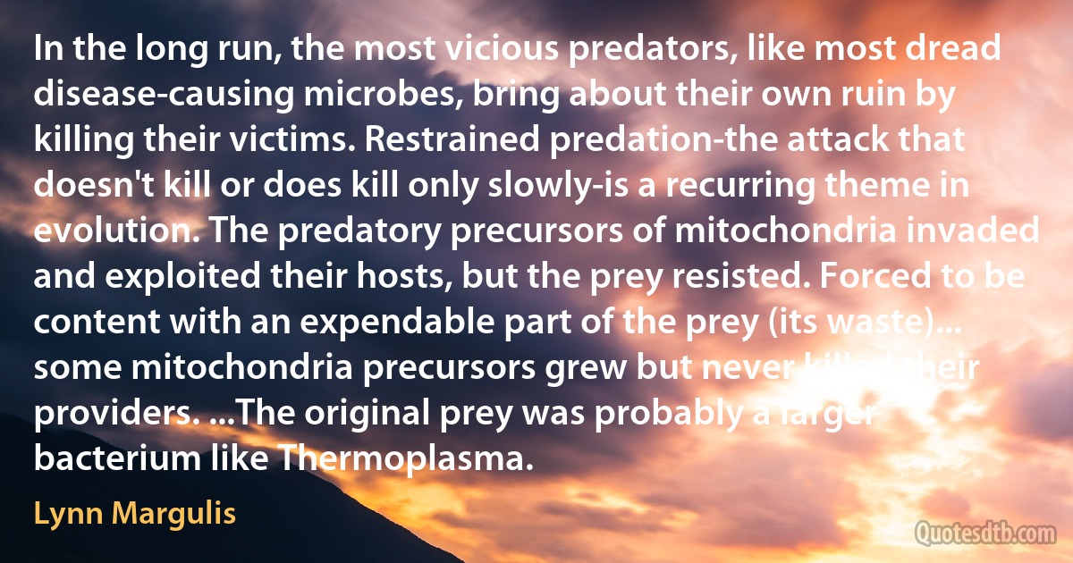 In the long run, the most vicious predators, like most dread disease-causing microbes, bring about their own ruin by killing their victims. Restrained predation-the attack that doesn't kill or does kill only slowly-is a recurring theme in evolution. The predatory precursors of mitochondria invaded and exploited their hosts, but the prey resisted. Forced to be content with an expendable part of the prey (its waste)... some mitochondria precursors grew but never killed their providers. ...The original prey was probably a larger bacterium like Thermoplasma. (Lynn Margulis)