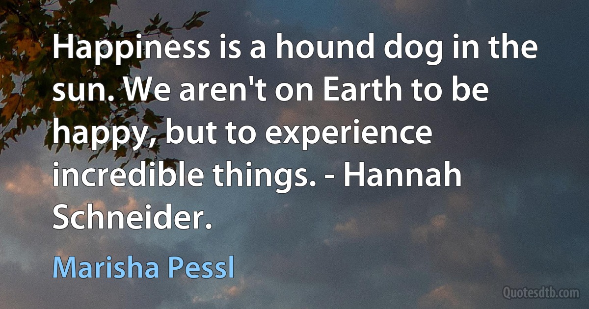 Happiness is a hound dog in the sun. We aren't on Earth to be happy, but to experience incredible things. - Hannah Schneider. (Marisha Pessl)