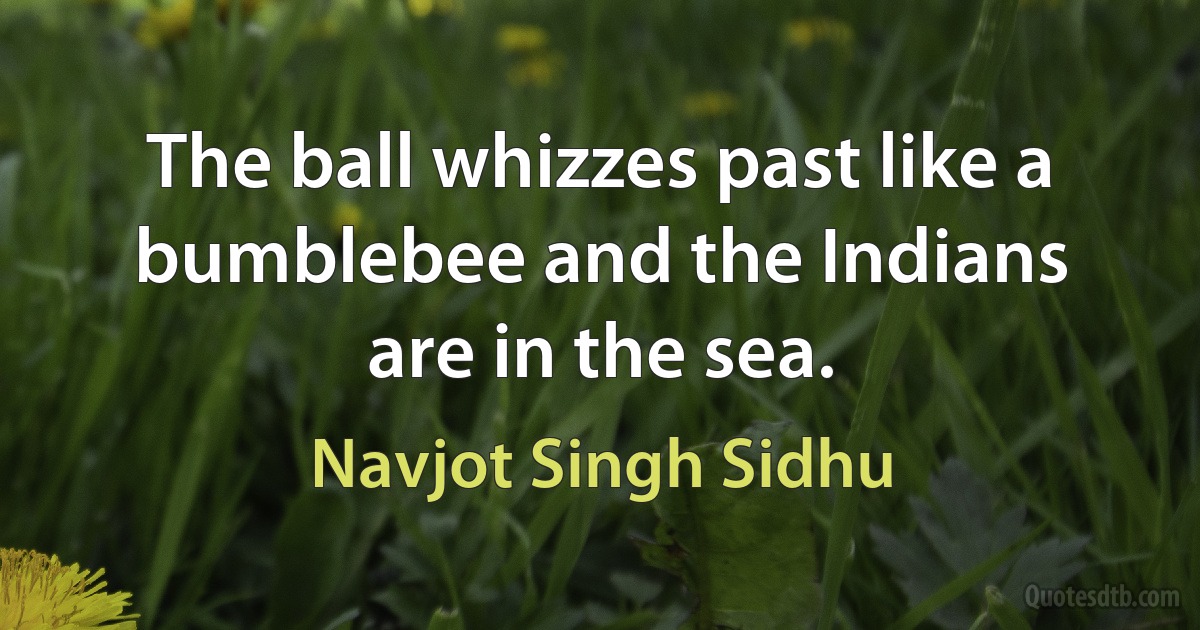 The ball whizzes past like a bumblebee and the Indians are in the sea. (Navjot Singh Sidhu)