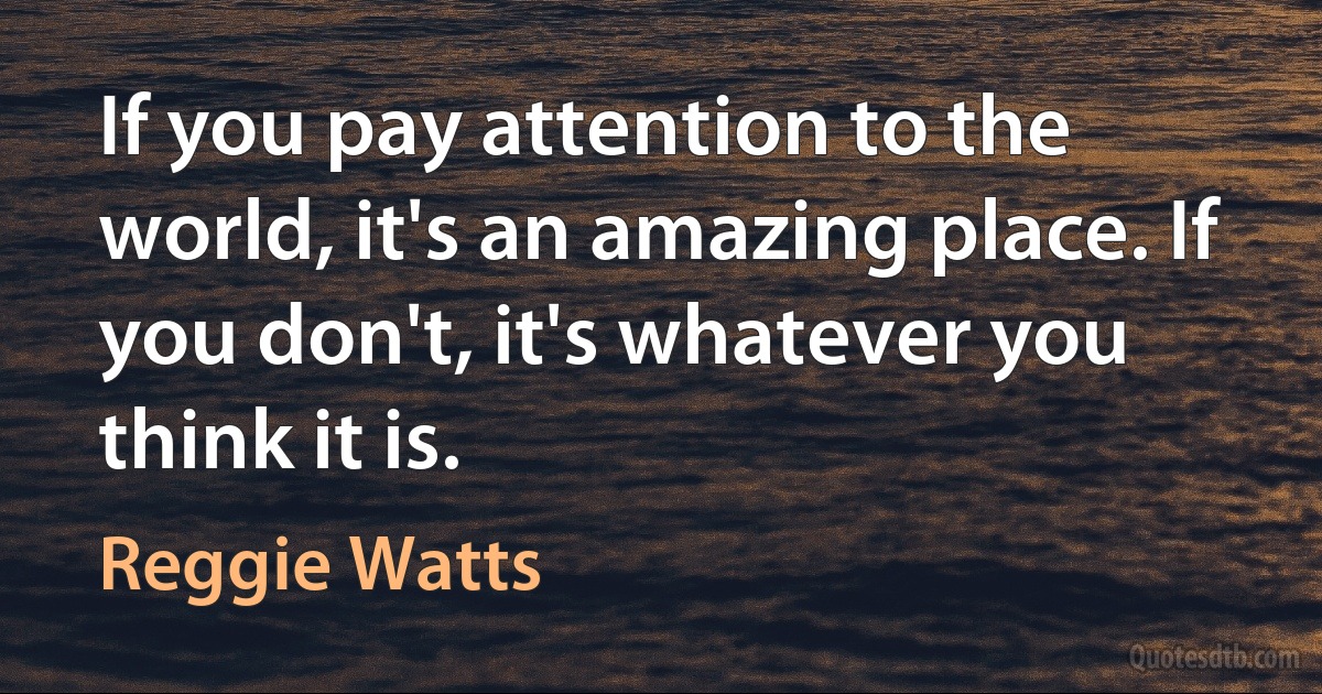 If you pay attention to the world, it's an amazing place. If you don't, it's whatever you think it is. (Reggie Watts)