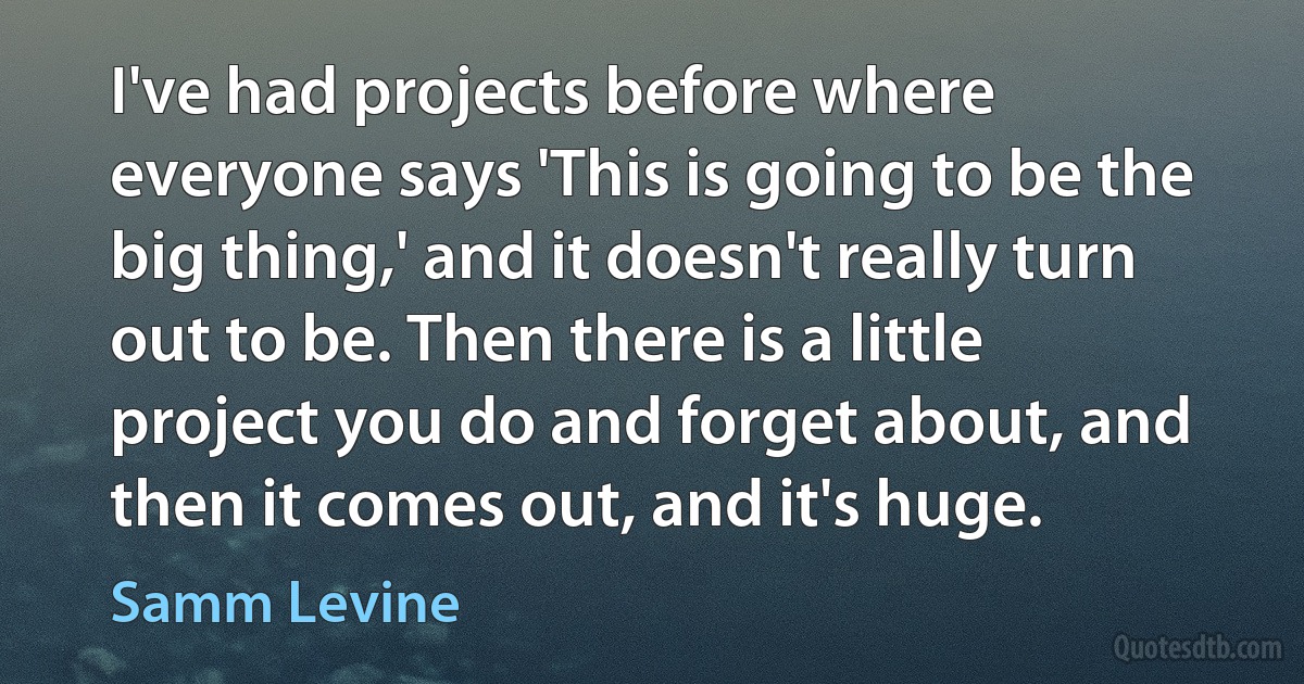 I've had projects before where everyone says 'This is going to be the big thing,' and it doesn't really turn out to be. Then there is a little project you do and forget about, and then it comes out, and it's huge. (Samm Levine)