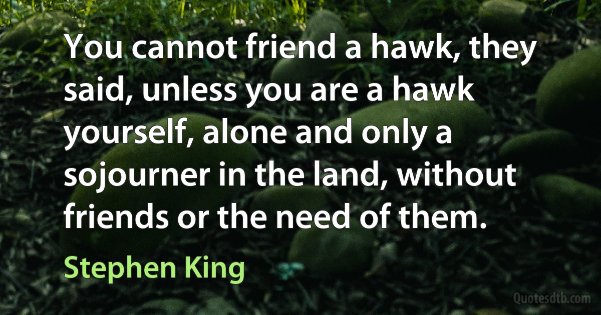 You cannot friend a hawk, they said, unless you are a hawk yourself, alone and only a sojourner in the land, without friends or the need of them. (Stephen King)