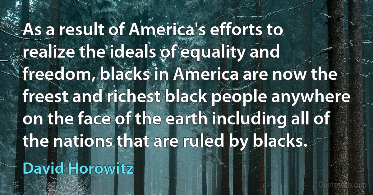 As a result of America's efforts to realize the ideals of equality and freedom, blacks in America are now the freest and richest black people anywhere on the face of the earth including all of the nations that are ruled by blacks. (David Horowitz)