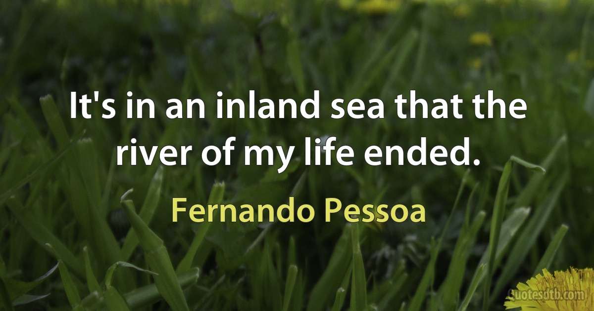 It's in an inland sea that the river of my life ended. (Fernando Pessoa)