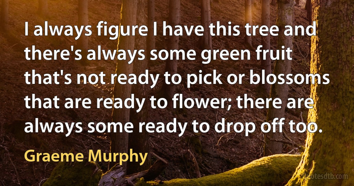 I always figure I have this tree and there's always some green fruit that's not ready to pick or blossoms that are ready to flower; there are always some ready to drop off too. (Graeme Murphy)