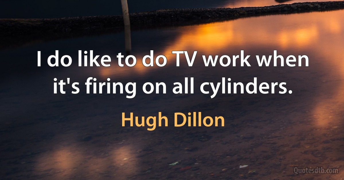 I do like to do TV work when it's firing on all cylinders. (Hugh Dillon)