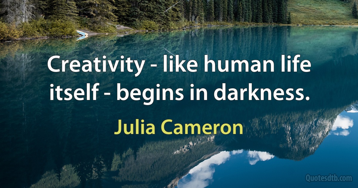 Creativity - like human life itself - begins in darkness. (Julia Cameron)