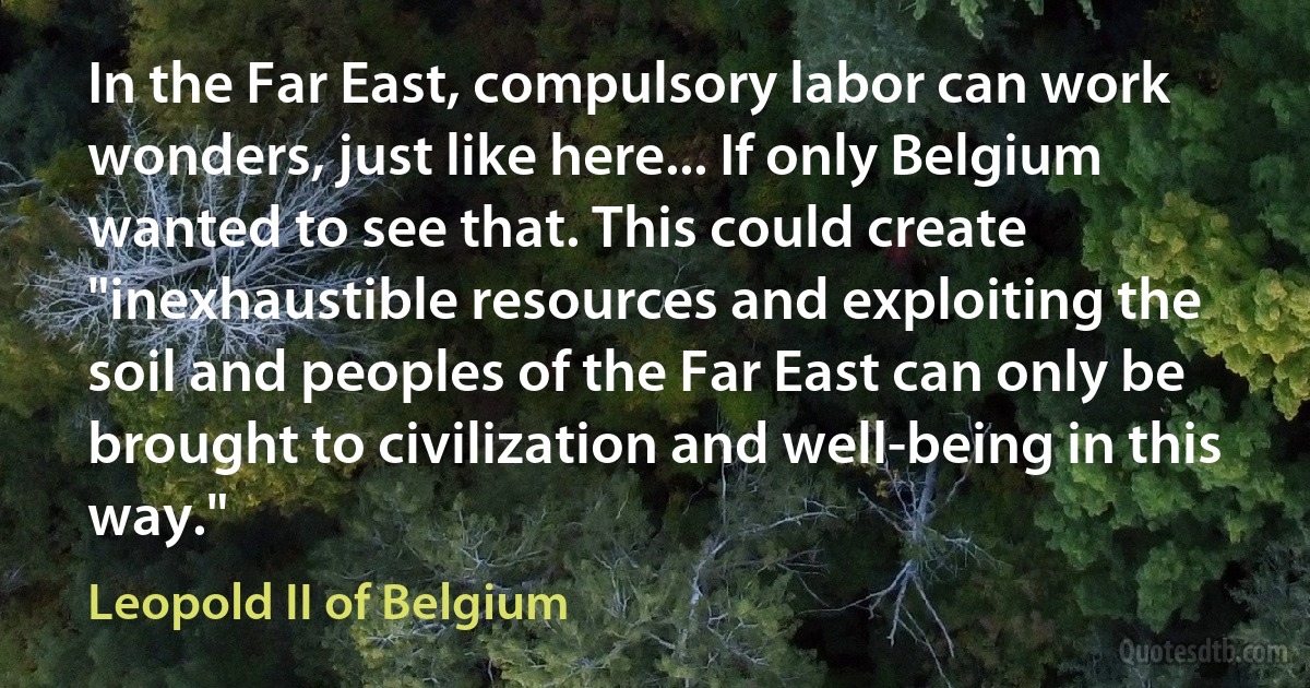 In the Far East, compulsory labor can work wonders, just like here... If only Belgium wanted to see that. This could create "inexhaustible resources and exploiting the soil and peoples of the Far East can only be brought to civilization and well-being in this way." (Leopold II of Belgium)