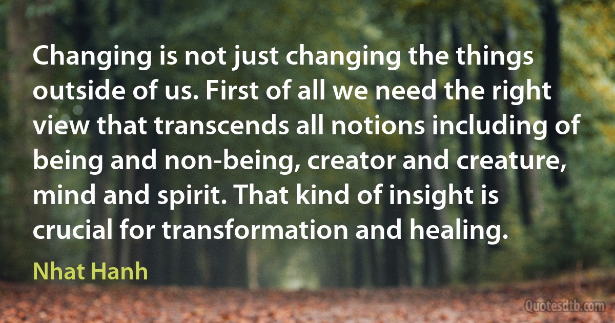 Changing is not just changing the things outside of us. First of all we need the right view that transcends all notions including of being and non-being, creator and creature, mind and spirit. That kind of insight is crucial for transformation and healing. (Nhat Hanh)