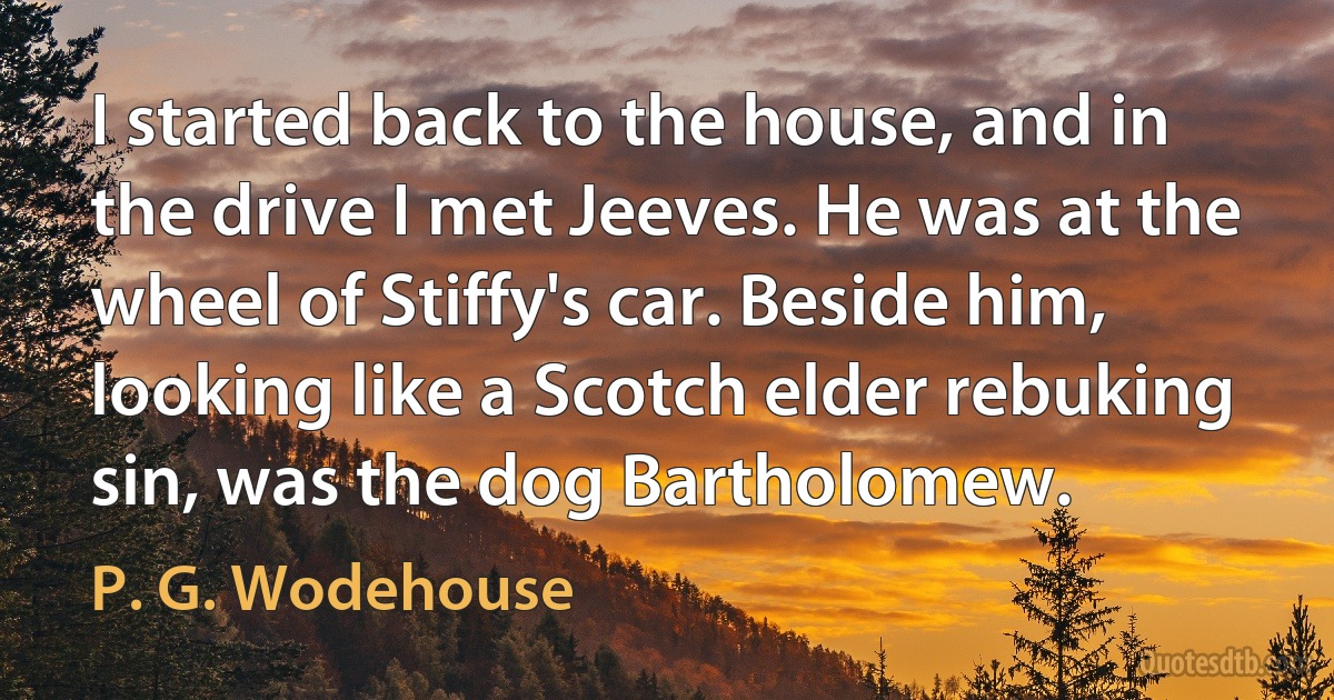 I started back to the house, and in the drive I met Jeeves. He was at the wheel of Stiffy's car. Beside him, looking like a Scotch elder rebuking sin, was the dog Bartholomew. (P. G. Wodehouse)