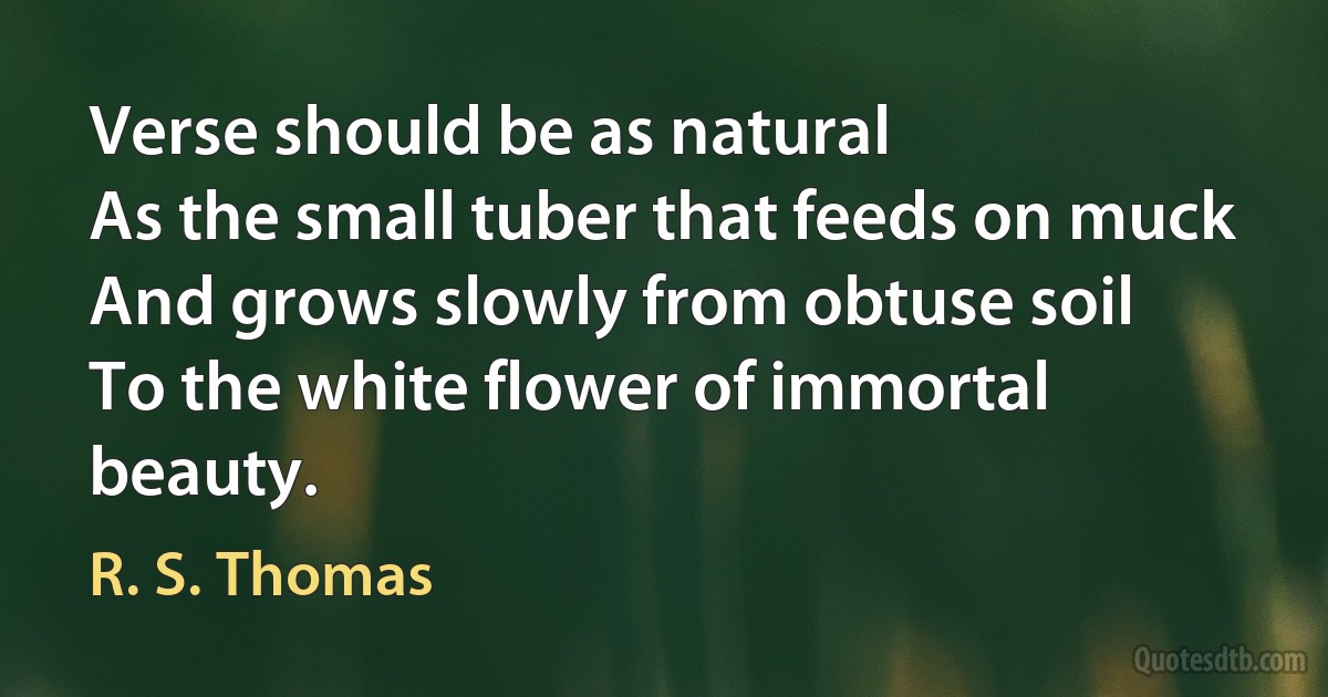 Verse should be as natural
As the small tuber that feeds on muck
And grows slowly from obtuse soil
To the white flower of immortal beauty. (R. S. Thomas)