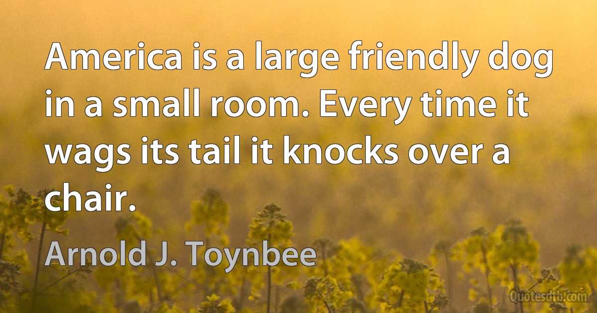 America is a large friendly dog in a small room. Every time it wags its tail it knocks over a chair. (Arnold J. Toynbee)