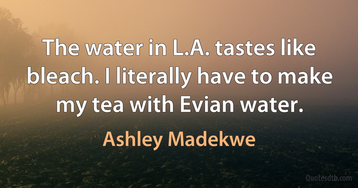 The water in L.A. tastes like bleach. I literally have to make my tea with Evian water. (Ashley Madekwe)