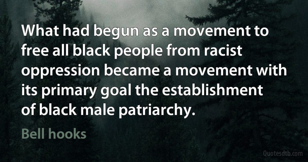 What had begun as a movement to free all black people from racist oppression became a movement with its primary goal the establishment of black male patriarchy. (Bell hooks)