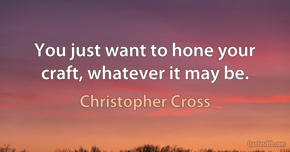 You just want to hone your craft, whatever it may be. (Christopher Cross)