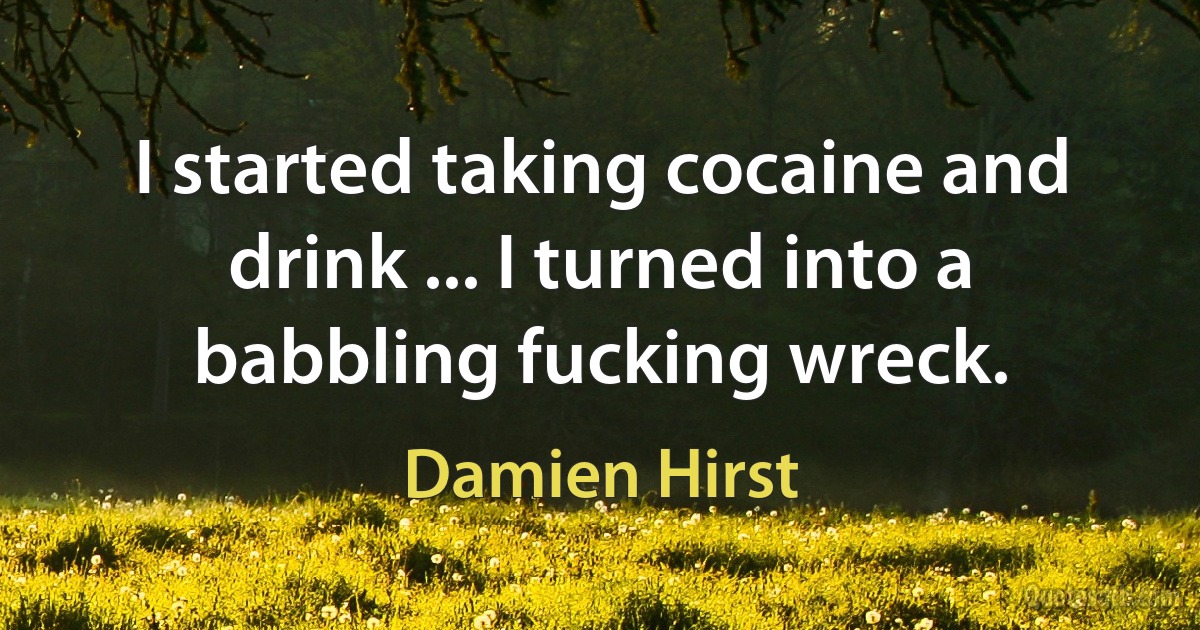 I started taking cocaine and drink ... I turned into a babbling fucking wreck. (Damien Hirst)