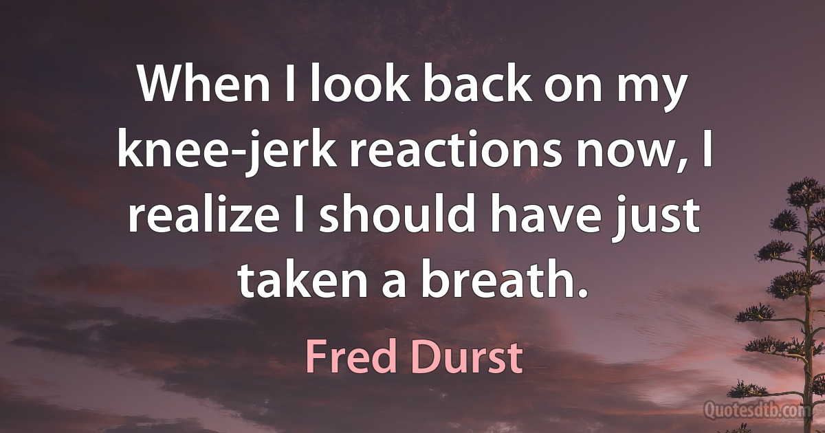 When I look back on my knee-jerk reactions now, I realize I should have just taken a breath. (Fred Durst)