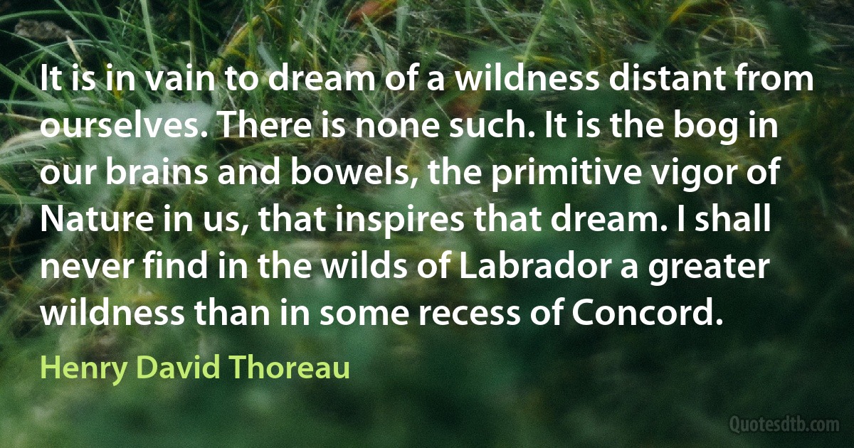 It is in vain to dream of a wildness distant from ourselves. There is none such. It is the bog in our brains and bowels, the primitive vigor of Nature in us, that inspires that dream. I shall never find in the wilds of Labrador a greater wildness than in some recess of Concord. (Henry David Thoreau)