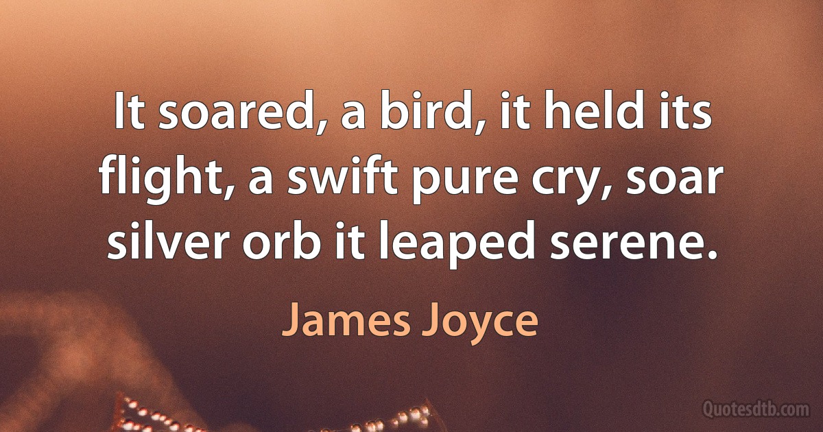 It soared, a bird, it held its flight, a swift pure cry, soar silver orb it leaped serene. (James Joyce)