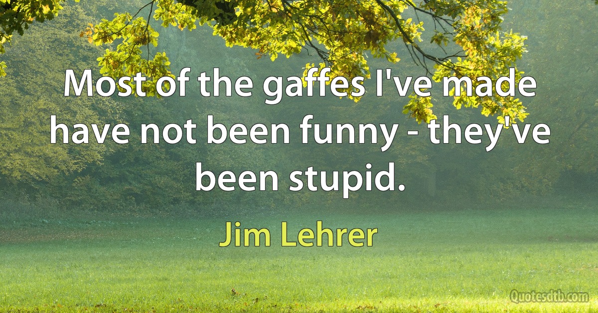 Most of the gaffes I've made have not been funny - they've been stupid. (Jim Lehrer)