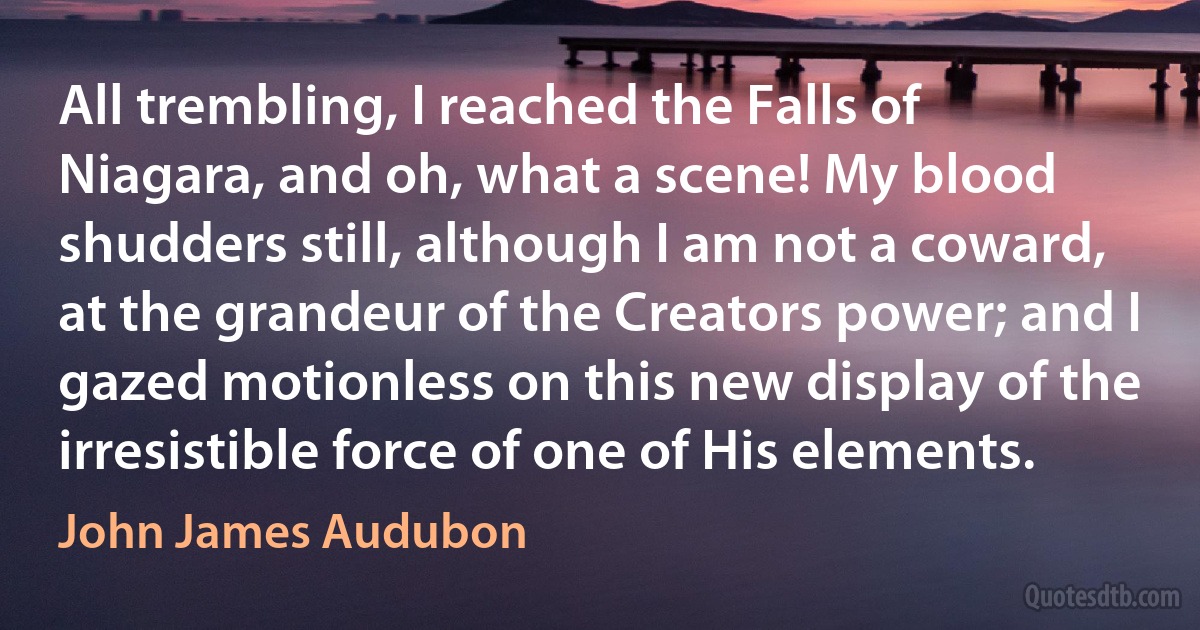 All trembling, I reached the Falls of Niagara, and oh, what a scene! My blood shudders still, although I am not a coward, at the grandeur of the Creators power; and I gazed motionless on this new display of the irresistible force of one of His elements. (John James Audubon)