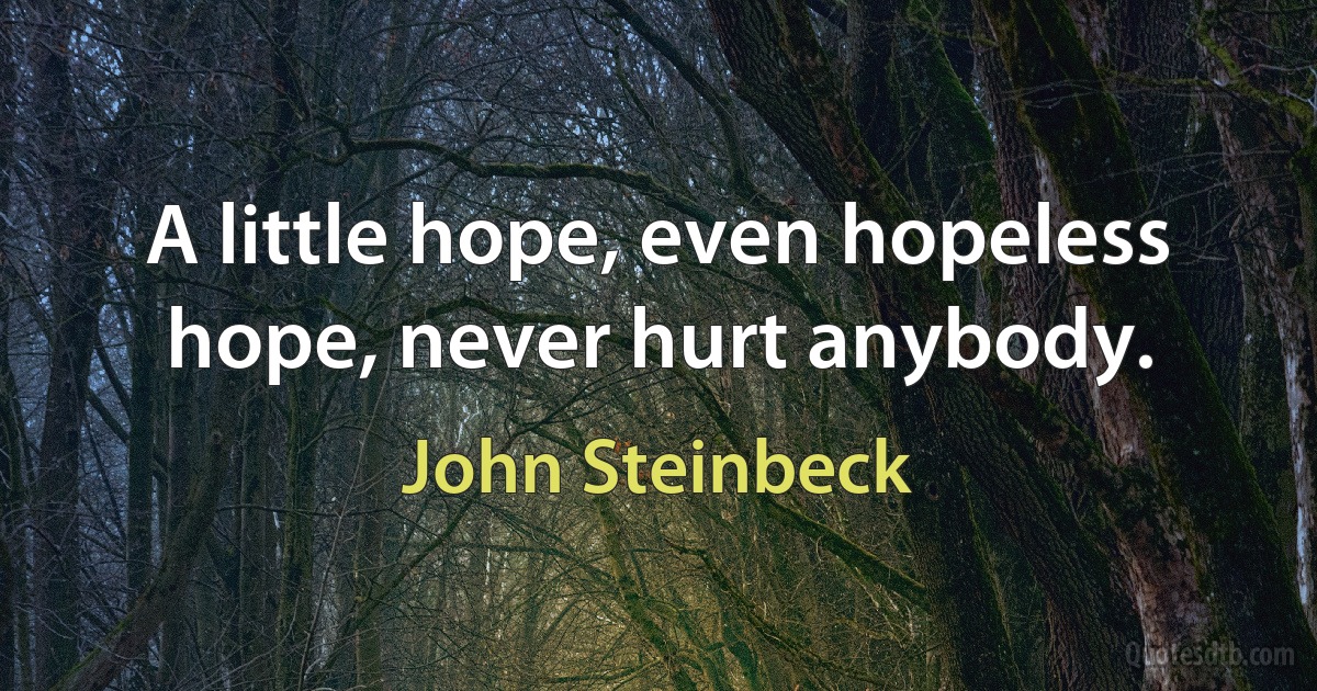 A little hope, even hopeless hope, never hurt anybody. (John Steinbeck)