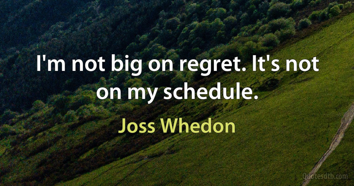 I'm not big on regret. It's not on my schedule. (Joss Whedon)