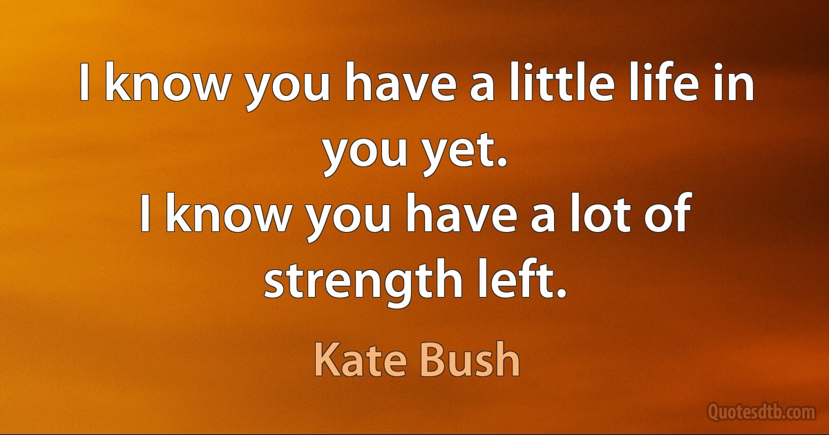 I know you have a little life in you yet.
I know you have a lot of strength left. (Kate Bush)