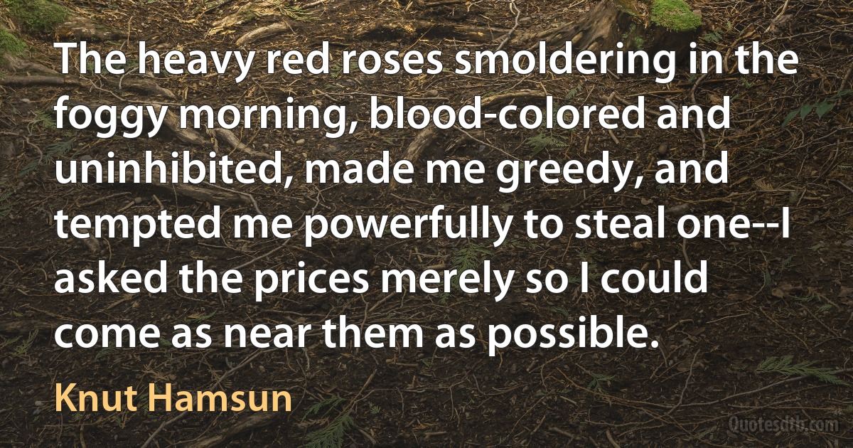 The heavy red roses smoldering in the foggy morning, blood-colored and uninhibited, made me greedy, and tempted me powerfully to steal one--I asked the prices merely so I could come as near them as possible. (Knut Hamsun)