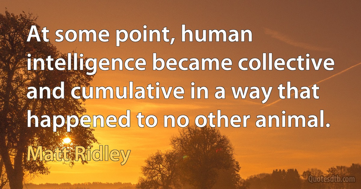 At some point, human intelligence became collective and cumulative in a way that happened to no other animal. (Matt Ridley)