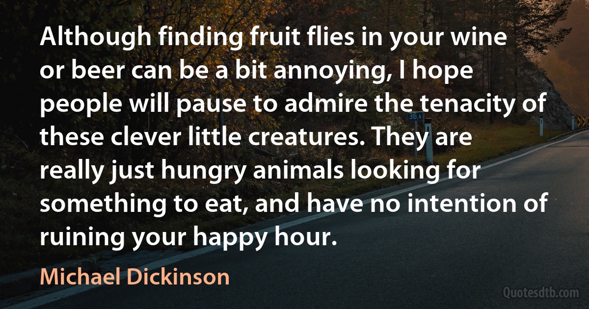 Although finding fruit flies in your wine or beer can be a bit annoying, I hope people will pause to admire the tenacity of these clever little creatures. They are really just hungry animals looking for something to eat, and have no intention of ruining your happy hour. (Michael Dickinson)