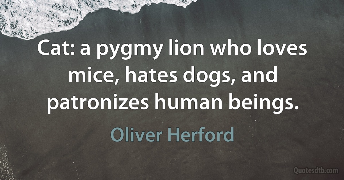 Cat: a pygmy lion who loves mice, hates dogs, and patronizes human beings. (Oliver Herford)