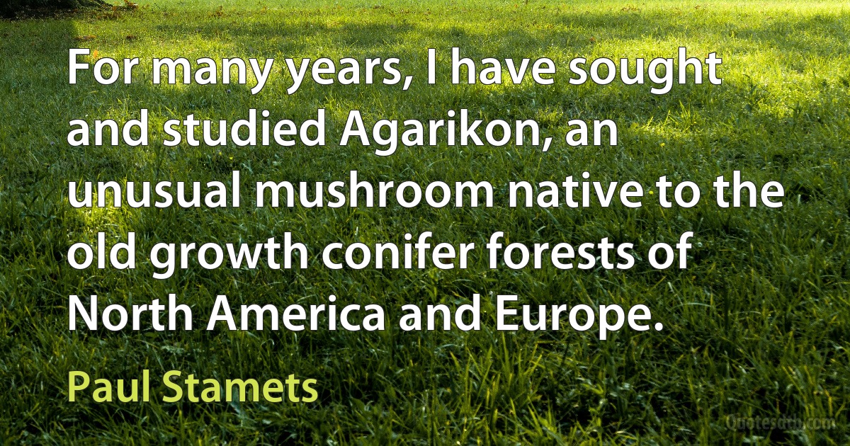 For many years, I have sought and studied Agarikon, an unusual mushroom native to the old growth conifer forests of North America and Europe. (Paul Stamets)